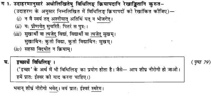 NCERT Solutions for Class 9th Sanskrit Chapter 10 Vidhiliga Lakarah 8