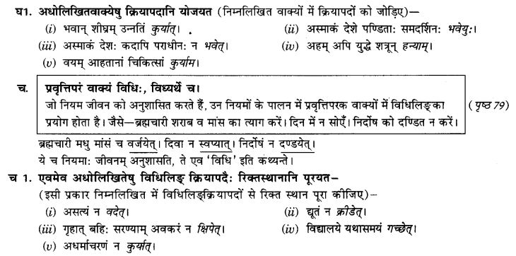 NCERT Solutions for Class 9th Sanskrit Chapter 10 Vidhiliga Lakarah 9
