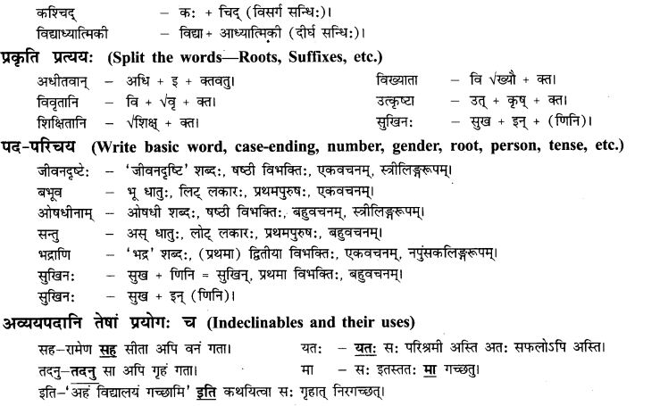 NCERT Solutions for Class 9th Sanskrit Chapter 13 Bharatiyam Vignanam 13