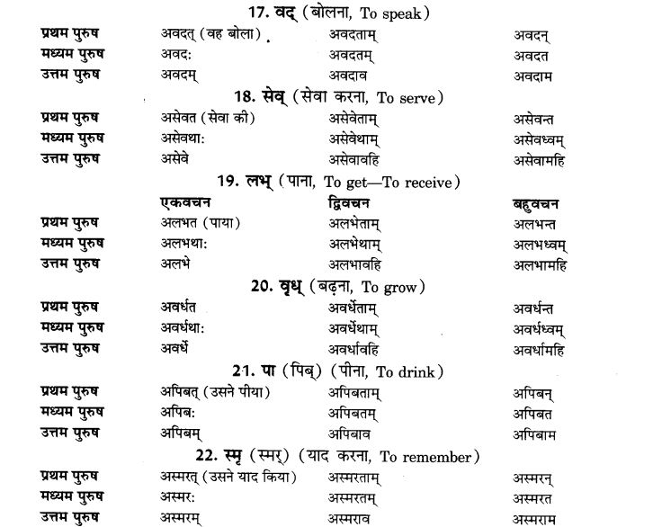 NCERT Solutions for Class 9th Sanskrit Chapter 7 Bhutakalah 4