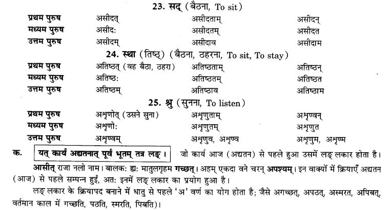 NCERT Solutions for Class 9th Sanskrit Chapter 7 Bhutakalah 5
