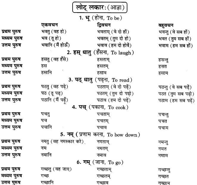 NCERT Solutions for Class 9th Sanskrit Chapter 9 Lot Lakarah 1