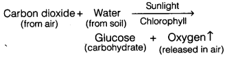 Nutrition in Plants Class 7 Extra Questions Science Chapter 1 lo Q 1