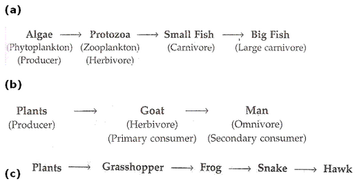 Our-Environment-Lakhmir-Singh-class-10-Biology-Solutions-32