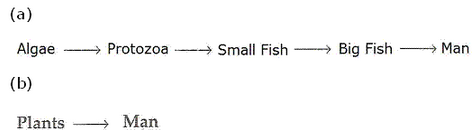 Our-Environment-Lakhmir-Singh-class-10-Biology-Solutions-35