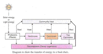 Our-Environment-Lakhmir-Singh-class-10-Biology-Solutions-A-34