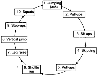 Physical-Education-Class-12-Important-Questions-Chapter-12-Training-in-Sports-1