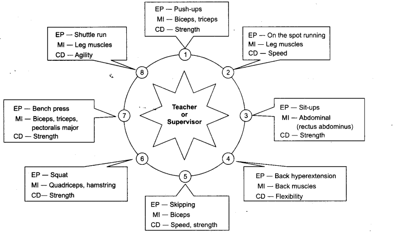 Physical Education Class 12 Important Questions Chapter 12 Training in Sports 10