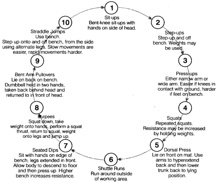 Physical Education Class 12 Important Questions Chapter 12 Training in Sports 2