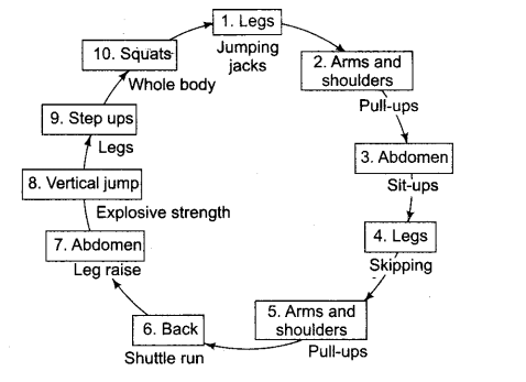 Physical Education Class 12 Important Questions Chapter 12 Training in Sports 7