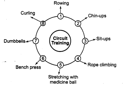 Physical Education Class 12 Important Questions Chapter 12 Training in Sports 8