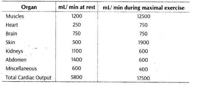 Physical-Education-Class-12-Important-Questions-Chapter-8-Physiology-and-Sports-1