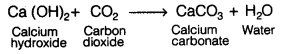 Physical-and-Chemical-Changes-Class-7-Extra-Questions-Science-Chapter-6-1