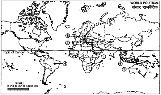 Political-Science-Class-12-Important-Questions-Chapter-1-The-Cold-War-Era-1