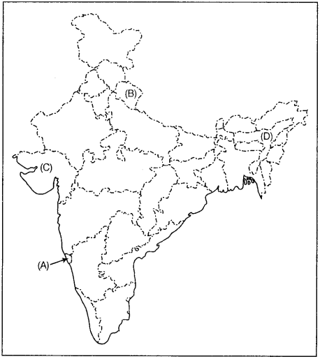 Political-Science-Class-12-Important-Questions-Chapter-16-Rise-of-Popular-Movements-1