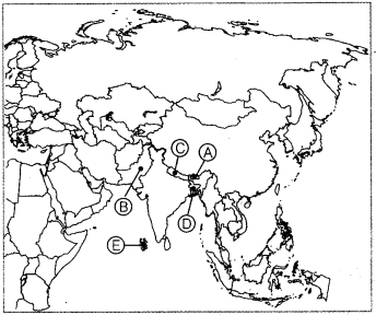 Political-Science-Class-12-Important-Questions-Chapter-5-Contemporary-South-Asia-1