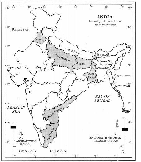 Practical Work in Geography Class 12 Solutions Chapter 3 Graphical Representation of Data Activity Q4.4