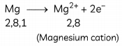 Reaction Between Metals and Non-Metals 3