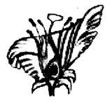 Reproduction in Plants Class 7 Extra Questions Science Chapter 12 11