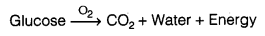 Respiration-in-Organisms-Class-7-Extra-Questions-Science-Chapter-10-1