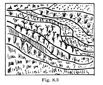 Rural-Livelihoods-Class-6-Extra-Questions-Civics-Chapter-8-L-Q3