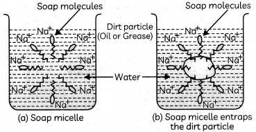 Soaps and Detergents 3
