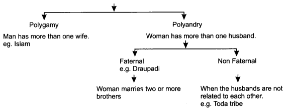 Sociology-Class-11-Notes-Chapter-3-Understanding-Social-Institutions-1