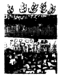 Soil Class 7 Extra Questions Science Chapter 9 2