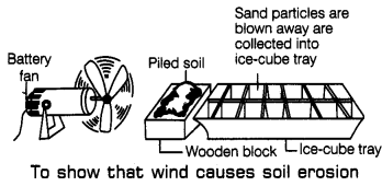 Soil Class 7 Extra Questions Science Chapter 9 5