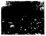 Soil Class 7 Extra Questions Science Chapter 9 7