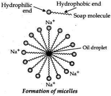 Solved CBSE Sample Papers for Class 10 Science Set 1 11