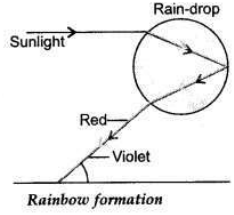 Solved CBSE Sample Papers for Class 10 Science Set 1 14