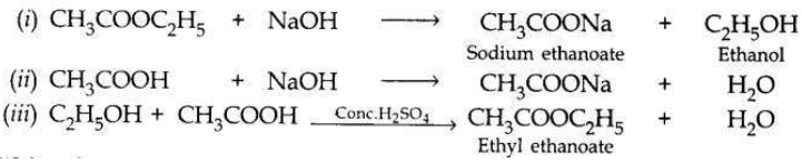 Solved CBSE Sample Papers for Class 10 Science Set 1 8