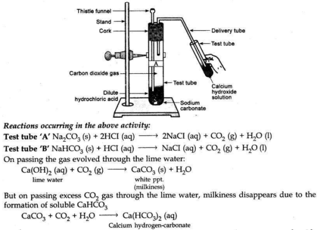 Solved CBSE Sample Papers for Class 10 Science Set 1 9