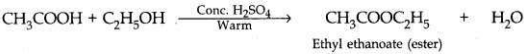 Solved CBSE Sample Papers for Class 10 Science Set 2 7