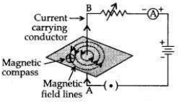 Solved CBSE Sample Papers for Class 10 Science Set 3 2