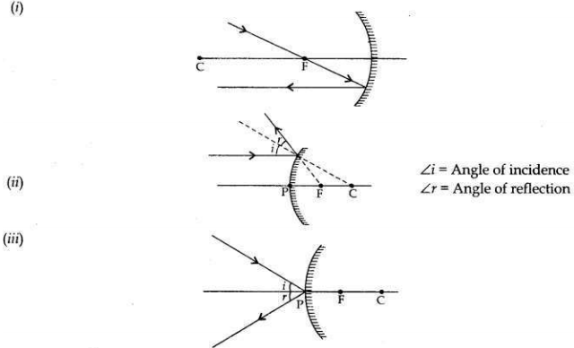 Solved CBSE Sample Papers for Class 10 Science Set 3 6