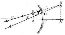Solved CBSE Sample Papers for Class 10 Science Set 4 1.16