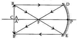 Solved CBSE Sample Papers for Class 10 Science Set 4 1.17
