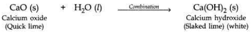 Solved CBSE Sample Papers for Class 10 Science Set 4 1.19