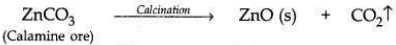 Solved CBSE Sample Papers for Class 10 Science Set 4 1.2