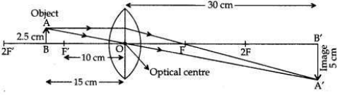 Solved CBSE Sample Papers for Class 10 Science Set 4 1.22