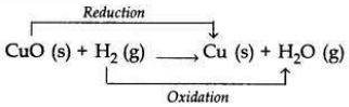 Solved-CBSE-Sample-Papers-for-Class-10-Science-Set-5-1