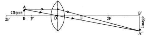 Solved CBSE Sample Papers for Class 10 Science Set 5 1.16