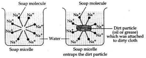 Solved CBSE Sample Papers for Class 10 Science Set 5 1.6