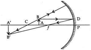 Solved CBSE Sample Papers for Class 10 Science Set 5 1.7