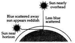 Solved CBSE Sample Papers for Class 10 Science Set 5 1.8