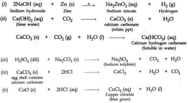 Solved CBSE Sample Papers for Class 10 Science Set 5 1.9