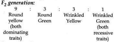 Solved CBSE Sample Papers for Class 10 Science Set 6 1.10