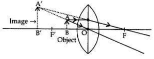 Solved CBSE Sample Papers for Class 10 Science Set 6 1.12